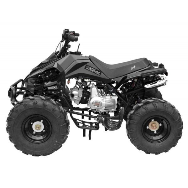 GMX The Beast Black 125cc SPORTS Quad Bike - Image 3
