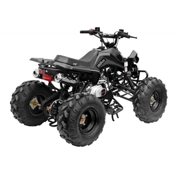 GMX The Beast Black 125cc SPORTS Quad Bike - Image 2