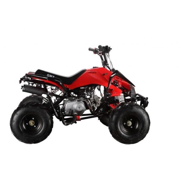 GMX The Beast Red 110cc SPORTS Quad Bike