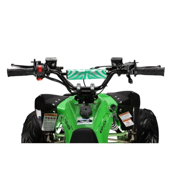 GMX The Beast Green 110cc SPORTS Quad Bike - Image 4