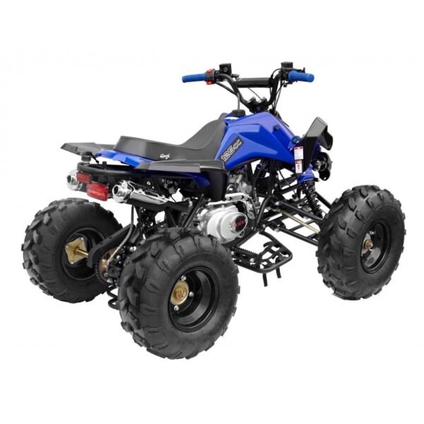 GMX The Beast Blue 125cc SPORTS Quad Bike - Image 4